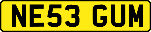 NE53GUM