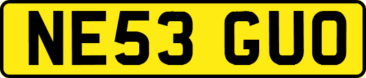 NE53GUO
