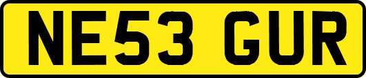 NE53GUR