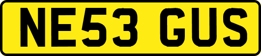 NE53GUS