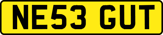 NE53GUT