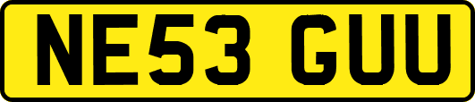 NE53GUU