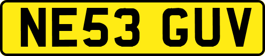 NE53GUV