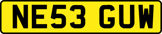 NE53GUW