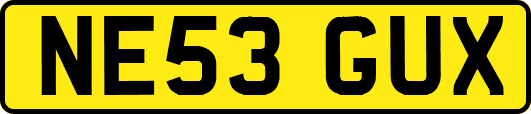 NE53GUX