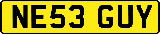 NE53GUY