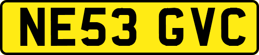 NE53GVC