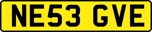 NE53GVE