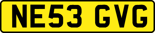 NE53GVG