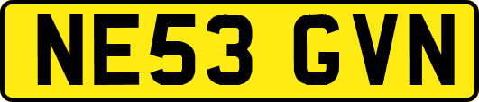 NE53GVN