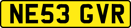 NE53GVR