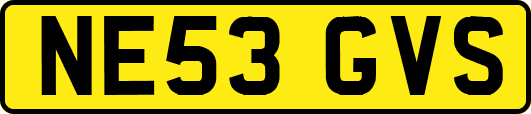 NE53GVS