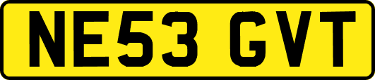 NE53GVT
