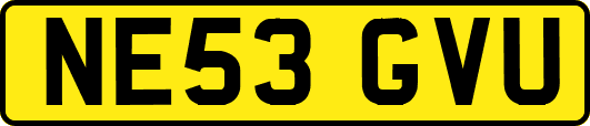 NE53GVU