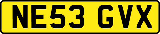 NE53GVX