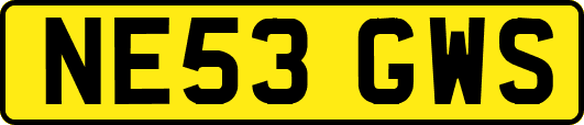 NE53GWS