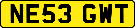 NE53GWT