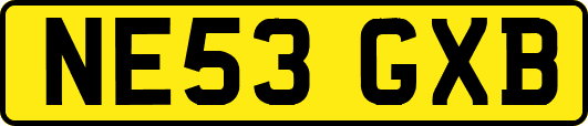 NE53GXB