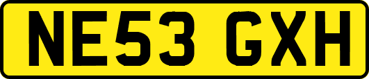 NE53GXH