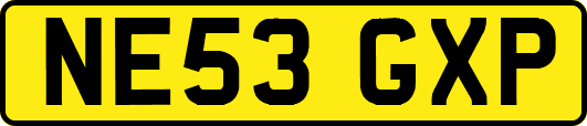 NE53GXP