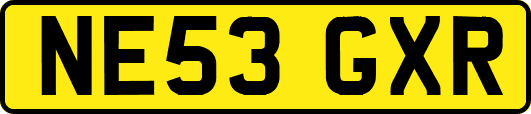 NE53GXR