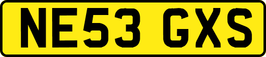 NE53GXS