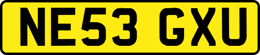 NE53GXU
