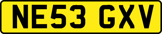 NE53GXV