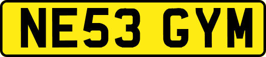 NE53GYM