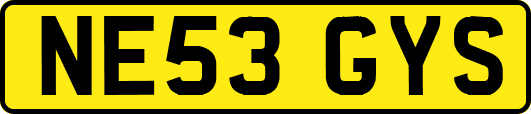 NE53GYS