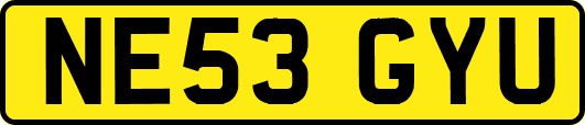 NE53GYU