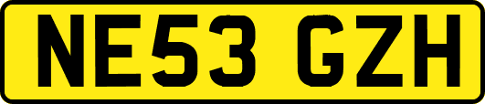 NE53GZH