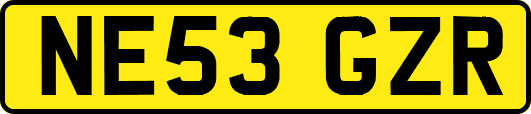 NE53GZR