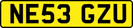 NE53GZU