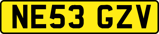 NE53GZV