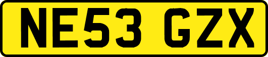 NE53GZX