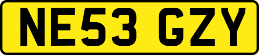 NE53GZY