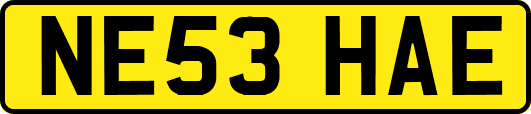 NE53HAE