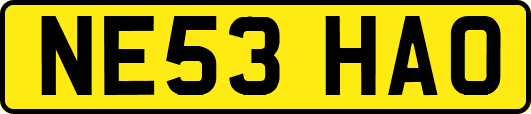 NE53HAO