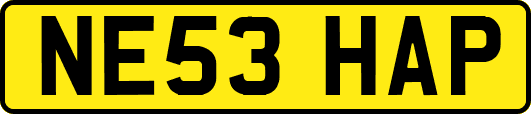 NE53HAP