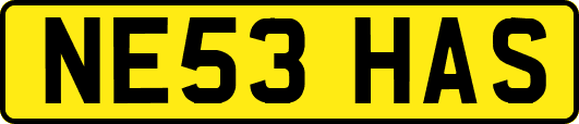 NE53HAS