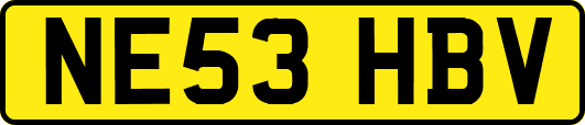 NE53HBV
