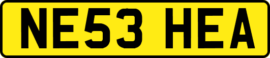 NE53HEA