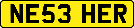 NE53HER