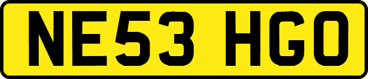NE53HGO