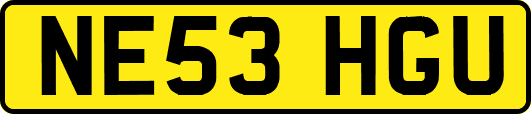 NE53HGU