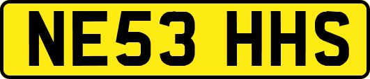 NE53HHS