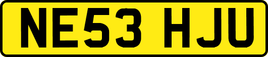 NE53HJU