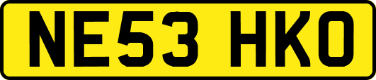 NE53HKO