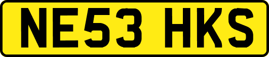 NE53HKS